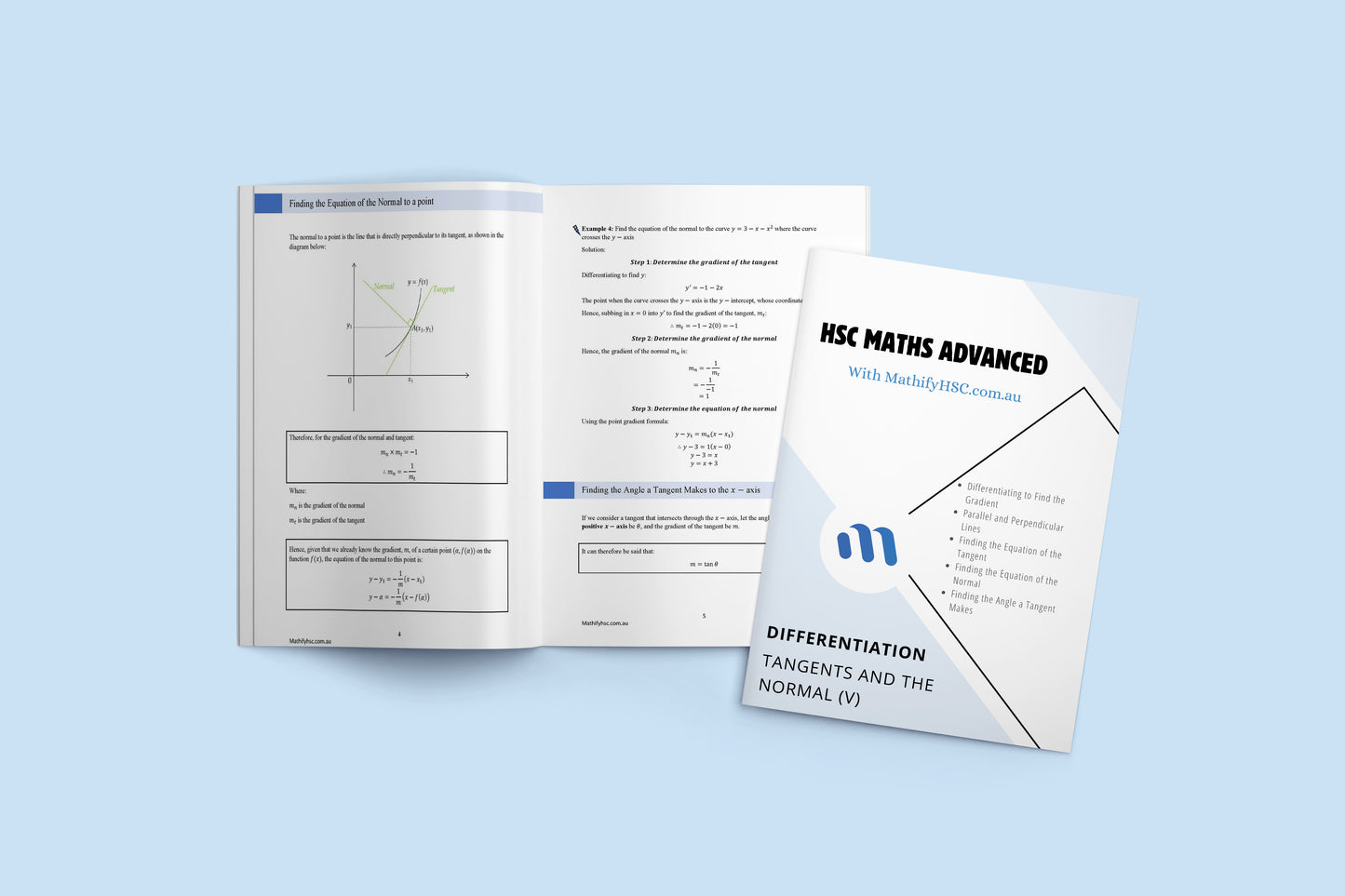 Year 11 Differentiation Workbooks Set - New Syllabus Edition