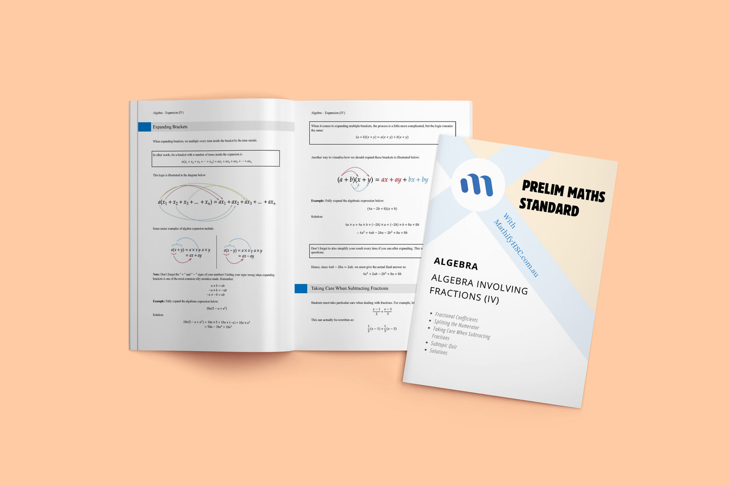Year 11 Maths Standard - Algebra New Syllabus