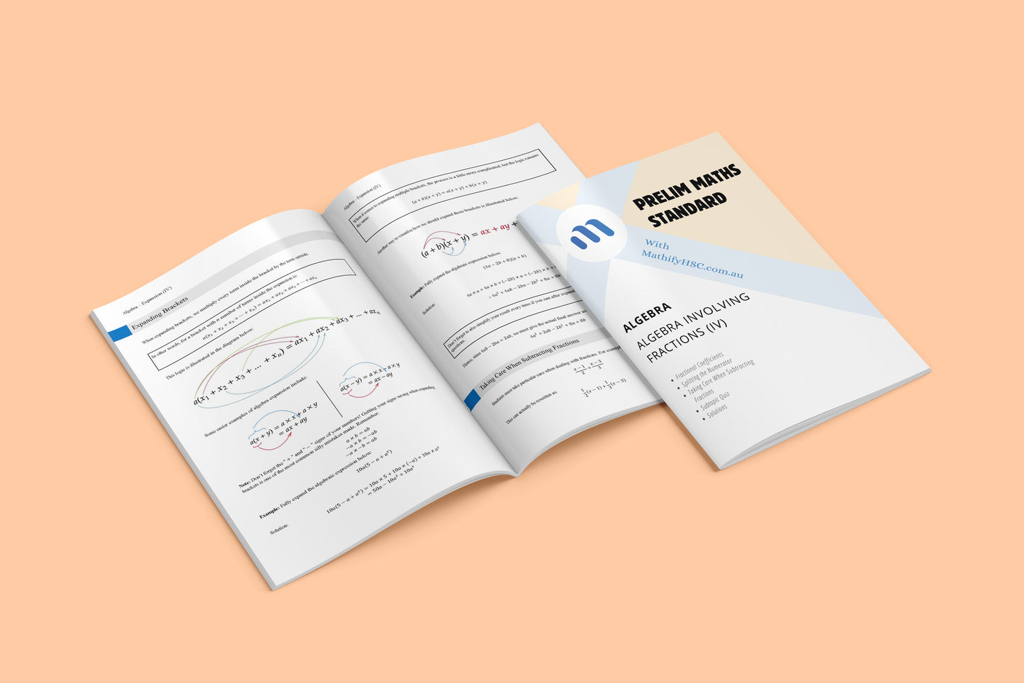 Year 11 Maths Standard - Algebra - Old Syllabus Edition